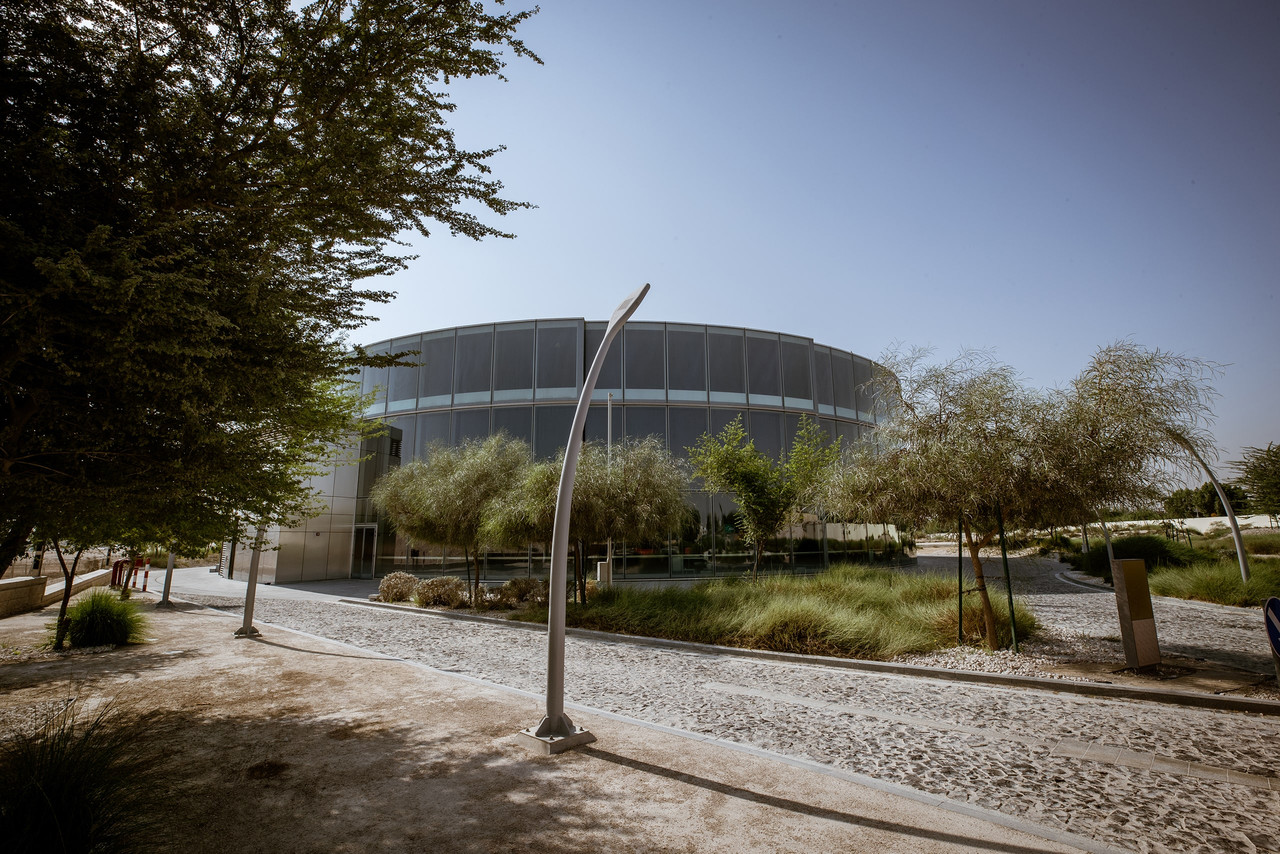 Project: Design & Build for the Seero Fi Al Ardh Carousel