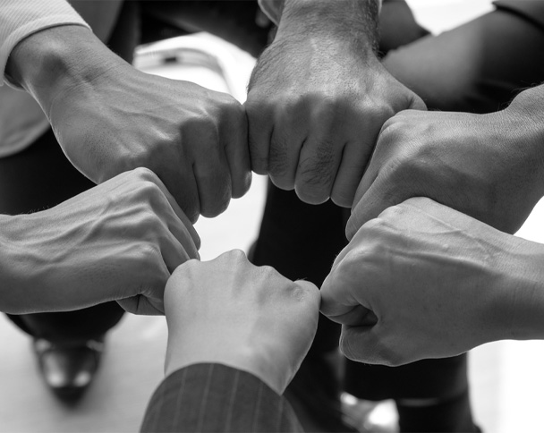 Inside our organization