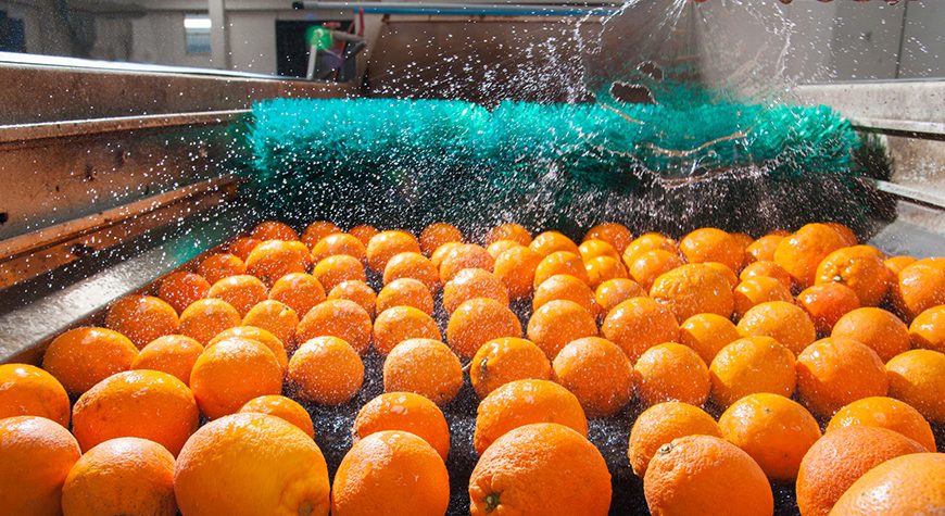 Al Sraiya Holding Group Invest in Göknur Turkey