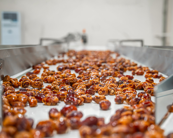 Premium Dates Packaging from Qatar’s Own Farms