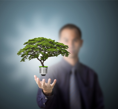 Innovation Renewable Energy 