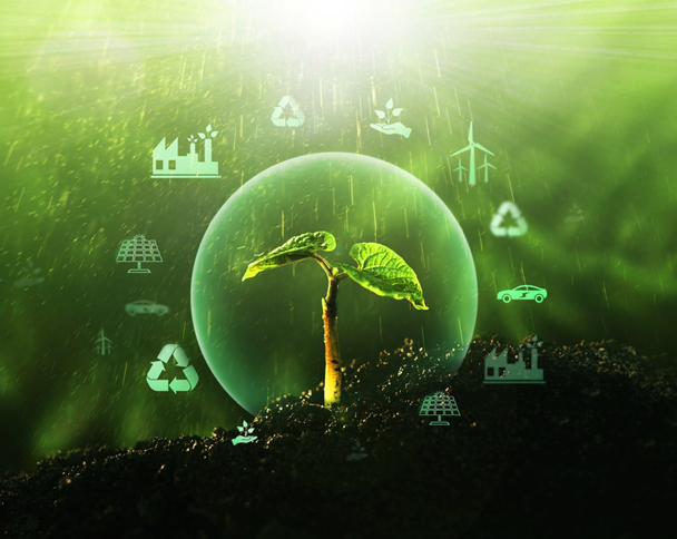 Our sustainable growth model 
